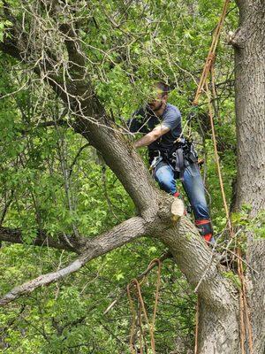 Harley & Sons Outdoor Services