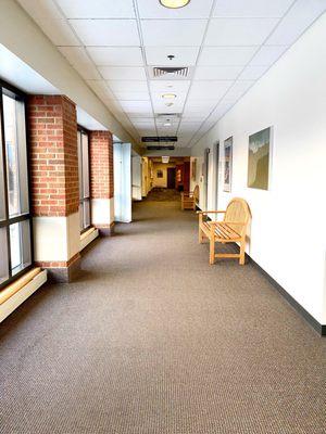 University of Michigan- Ann Arbor