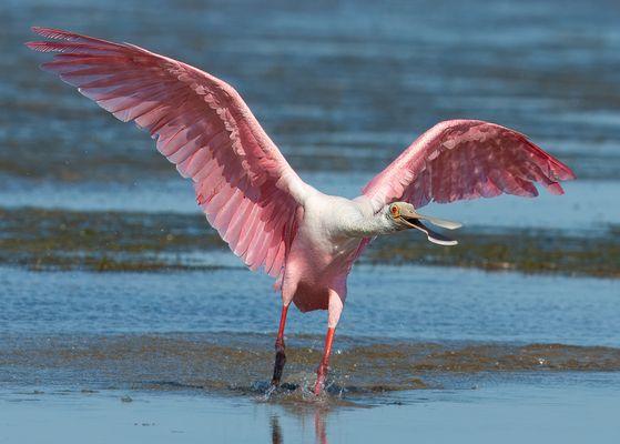 Salt Flats Bay Adventures