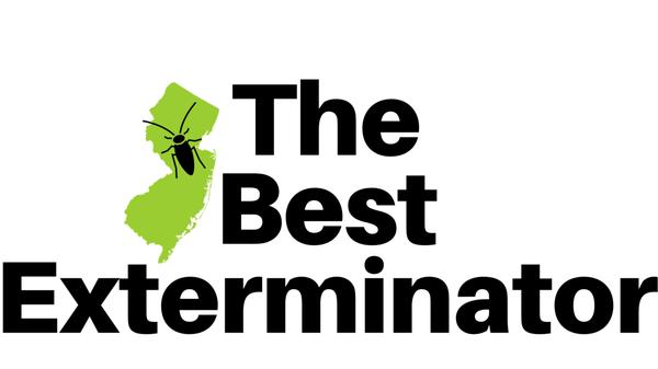 The Best Exterminator