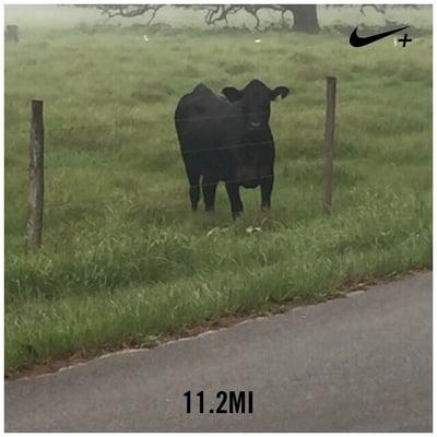 I swear he was following me!