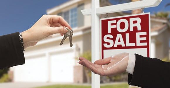 Amanda Shingleton- Berkshire Hathaway HomeServices