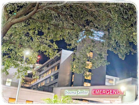 Bayfront Neurology Services