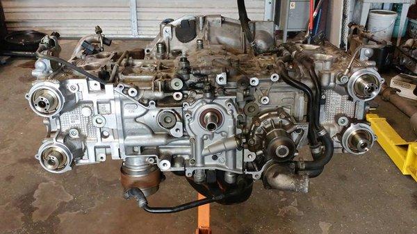 Domination Performance