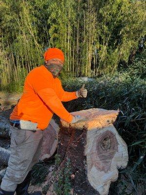 L&B Tree and Landscaping Services