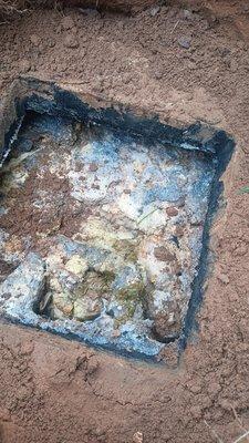 This is how Rowe left my tank and then proceeded to let me know that they only really clean it after 20-25 years of it being like this.