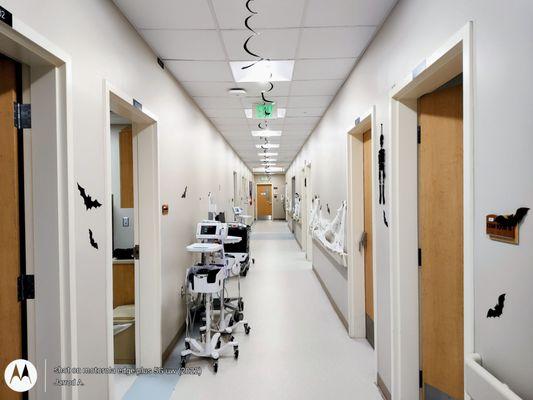 Otolaryngology (ENT) | Treatment of Ear, Nose & Throat, Head + Neck Regions | 2nd Floor, Adjacent Building/Entrance from 1285 Urgent Care