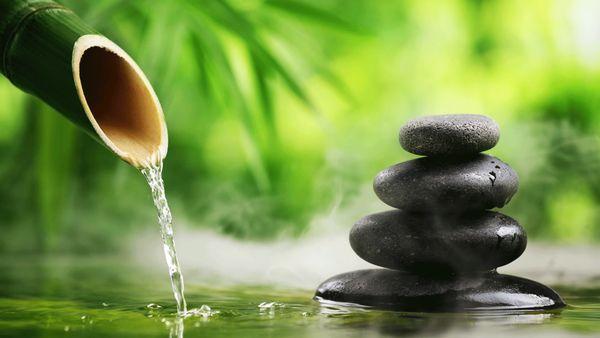 Awaken and Align with Tonya