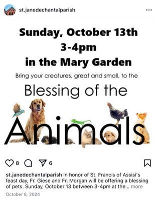 St Jane De Chantel Cyo Office