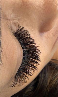 Lash Life