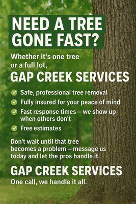 Gap Creek Services