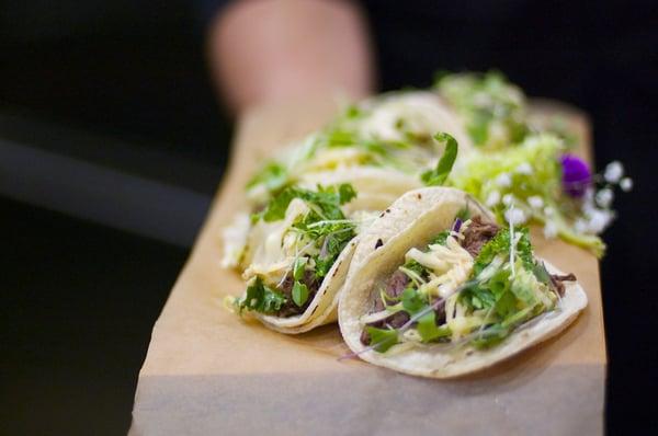 short rib tacos with spicy slaw