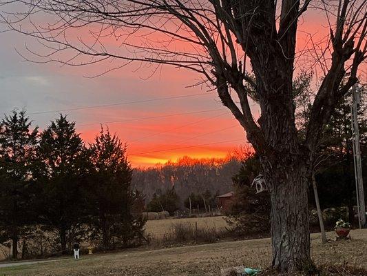 Born Again Antique's