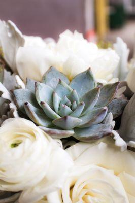 Ashland Addison Florist Co