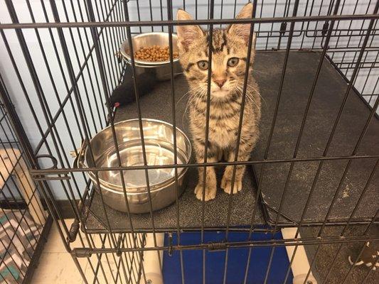 Rupert wants to go home! Such a beautiful and sweet boy.