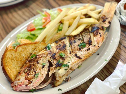 Ven y disfruta de nuestra deliciosa variedad en mariscos!!