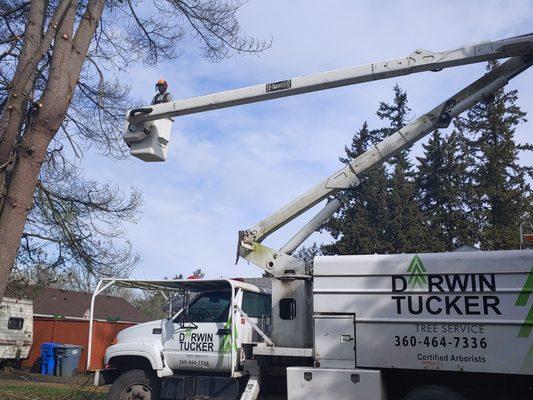 Darwin Tucker Tree Service