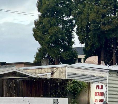 Psychic Reader by Barbara