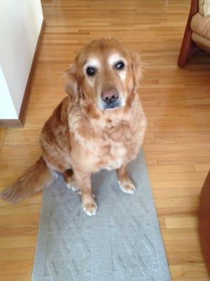 Miles just after his bath and cut.