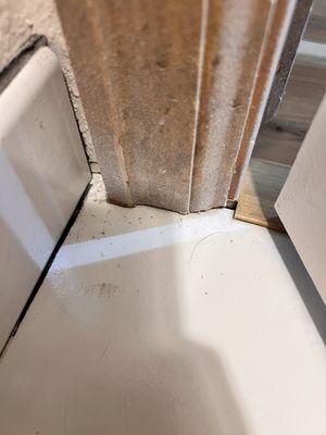 Joyful Soul Cleaning