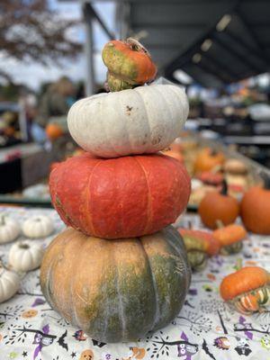 Meridian Township Farmer's Market