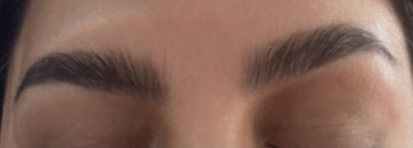 After Brow Sculpting (Brow Lamination, Hybrid Brow Dye, and Brow Shaping)