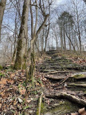 Natchez Trace Parkway