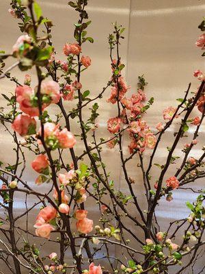 U And Me Grocery And Garden