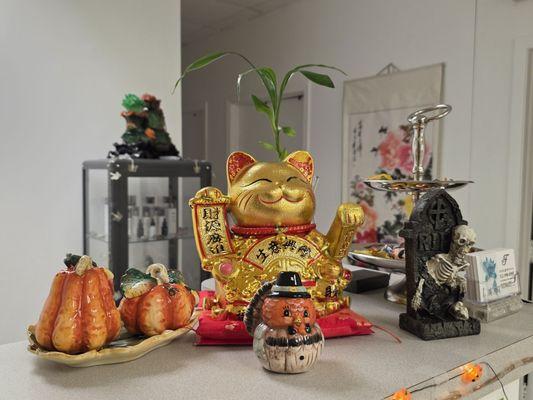 Well Come To Life Spa.