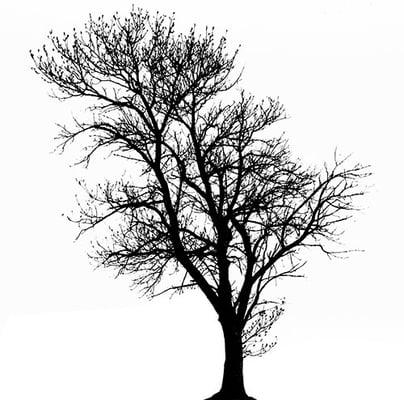 TAGE Multimedia Productions