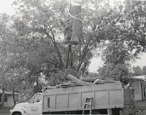 Treelanders Services