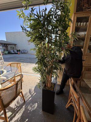 The Find Consignments