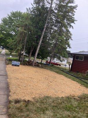 Elite Stump Grinding