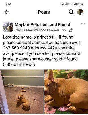 Wissinoming Yacht Club