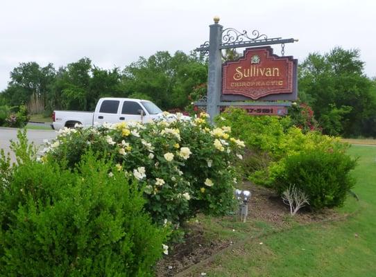 Sullivan Chiropractic Clinic