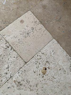 It's LegendaryCleaning