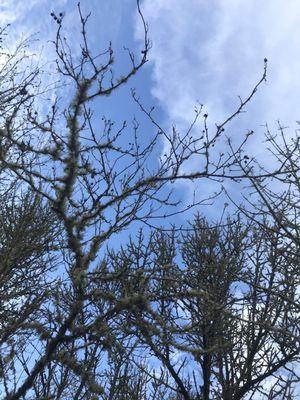 E. E. Wilson Wildlife Area