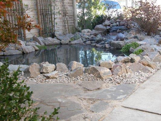 Exotic Aquatics Savannah