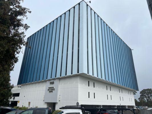 Gary Head & Partners Painting