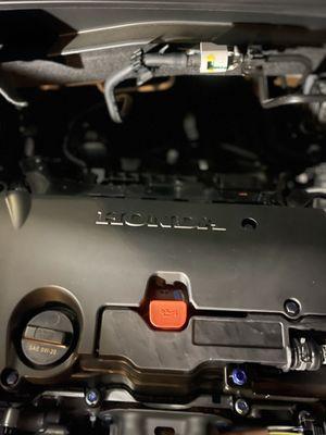 Elite Young Car Detail