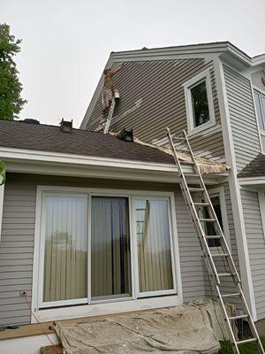 New England Painting