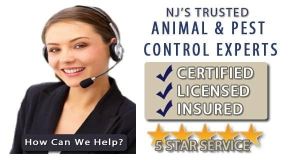New Jersey Animal & Pest Control Specialist