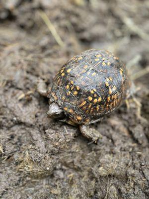 Mountain Fortress Miracle Farms