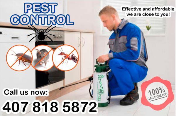 Pestmaster Services