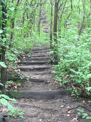 Three Rivers Park District