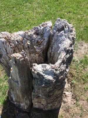 Badlands Petrified Gardens