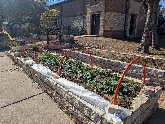 South Austin Senior Activity Center