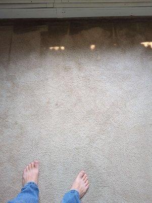 Imagine the filthiest stuff you don't want to see on this carpet as the before photo.