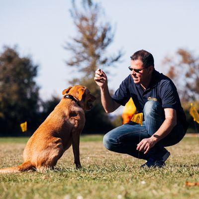 Dog Guard of Fort Worth