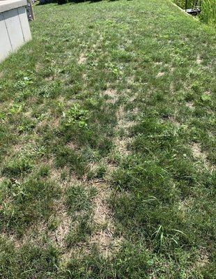 Green Acre Landscaping
